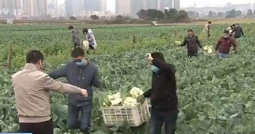 三部門聯(lián)合通知: 保障“菜籃子”產品 農業(yè)生產資料流通