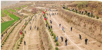 駐峰機關單位干部職工赴毛寺村開展義務植樹活動