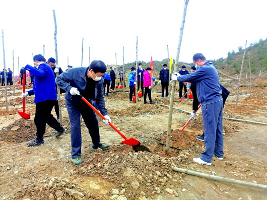 讓綠色在這里扎根——白銀平川區(qū)開展春季義務植樹造林活動側記