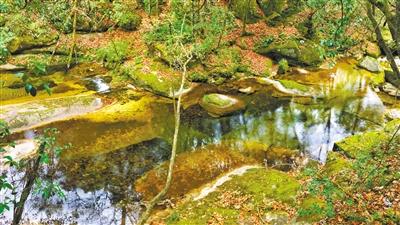 甘肅旅游丨八福溝，西秦嶺深處的水韻秘境