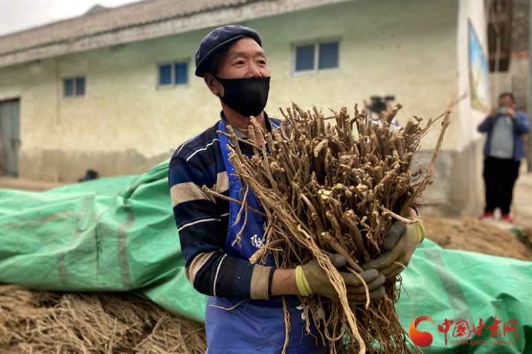 【甘肅省決戰(zhàn)決勝脫貧攻堅】定西漳縣：藥企開良方 “造血”助脫貧