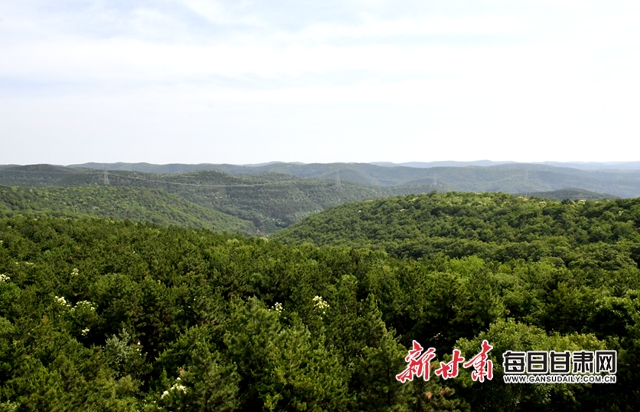 【甘肅生態(tài)環(huán)保媒體行】子午嶺深處，一家三代人用生命守護(hù)黃土高原的“天然生態(tài)屏障”