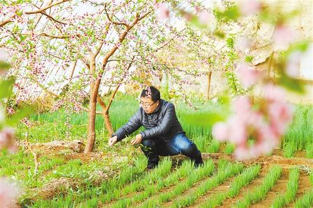 甘肅：時令催人耕種忙，不誤田間一季春