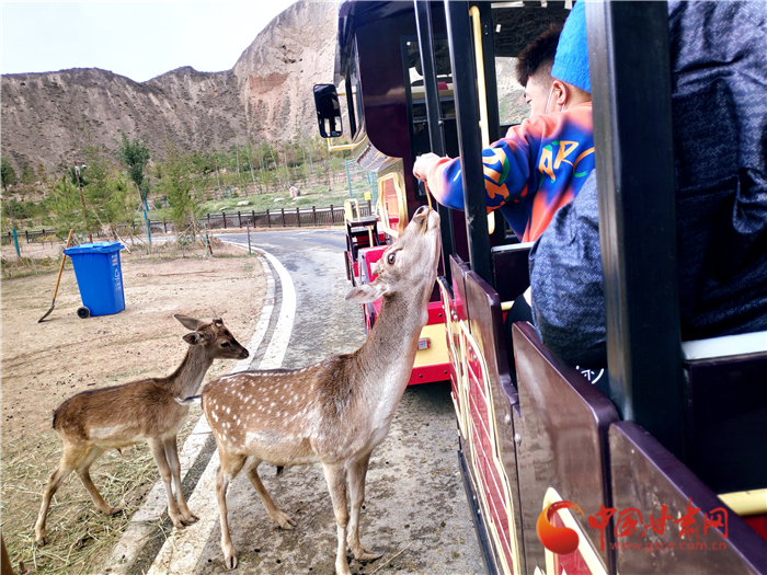 重陽節(jié)蘭州野生動物園48元可搶門票