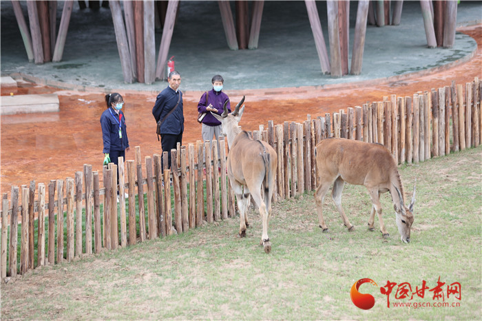 蘭州野生動物園自12月18日起開通自駕游 試運營期間收費100元/輛