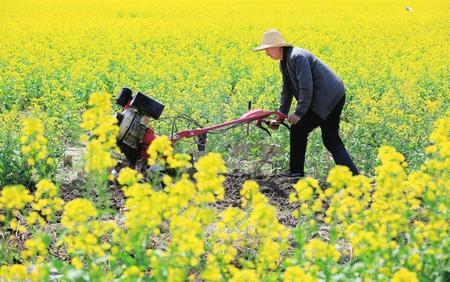 隴南武都區(qū)角弓鎮(zhèn)農(nóng)民使用旋耕機(jī)翻耕土地