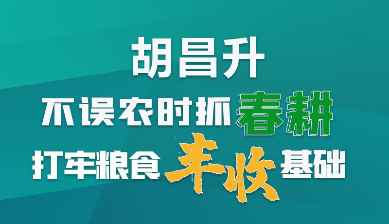 圖解|胡昌升：不誤農(nóng)時(shí)抓春耕打牢糧食豐收基礎(chǔ)