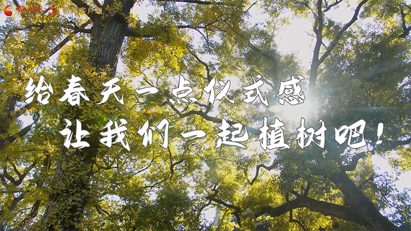 短視頻|給春天一點(diǎn)儀式感，讓我們一起植樹吧！