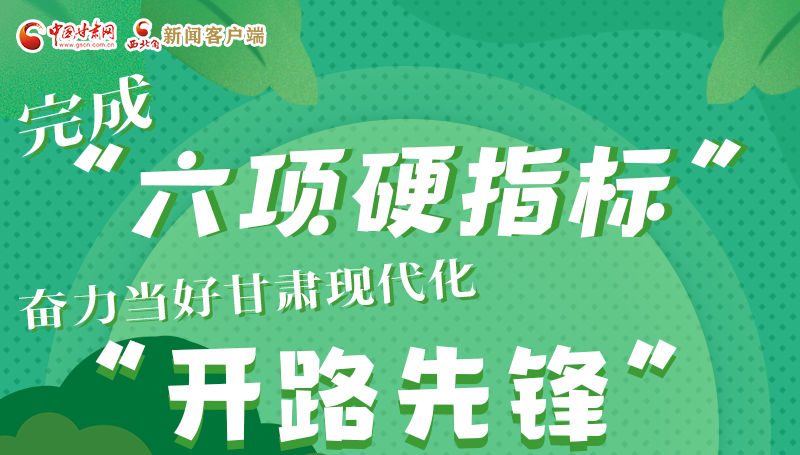 圖解|完成“六項硬指標(biāo)”奮力當(dāng)好甘肅現(xiàn)代化“開路先鋒”