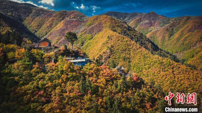 深秋，位于蘭州市榆中縣的興隆山，似打翻調(diào)色板。金峯 攝