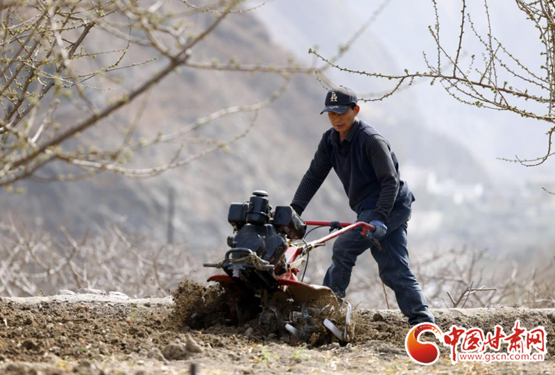 隴南：驚蟄到 農事忙