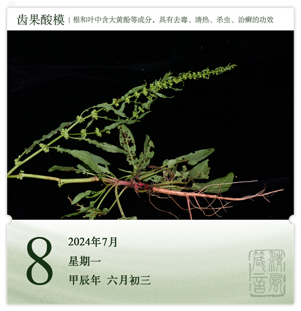 箴歷日歷7-8.png