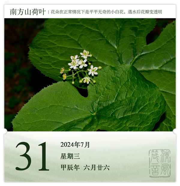 箴歷日歷7-31.png