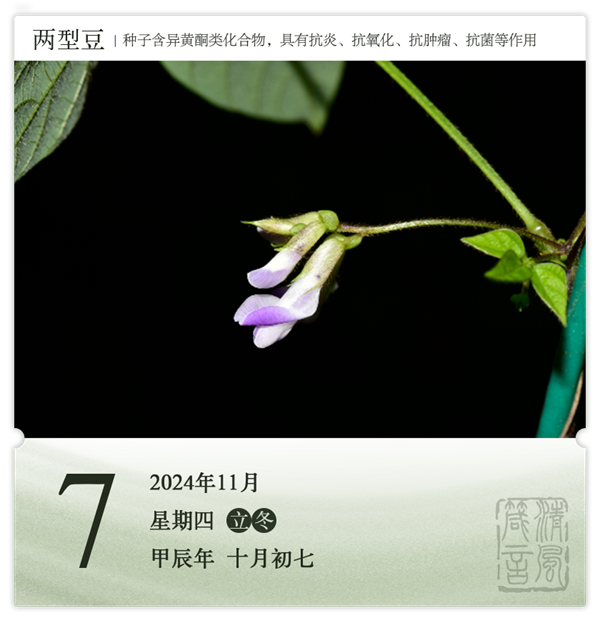 箴歷日歷11-7.png