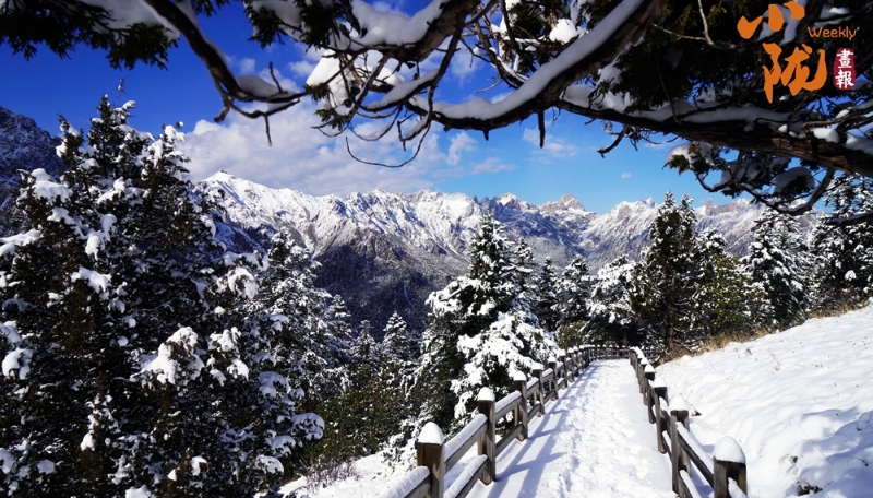 【小隴畫報(bào)·325期】宕昌：雪落官鵝溝 一秒入仙境